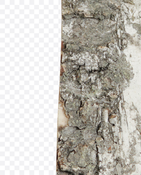 R with moss