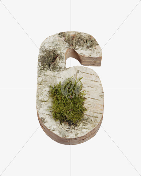 6 with moss
