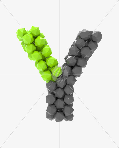 Y