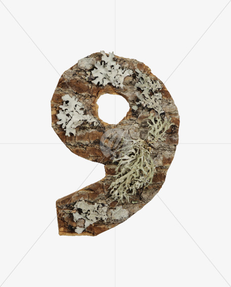 9
