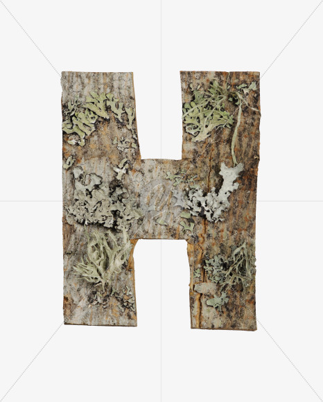 H