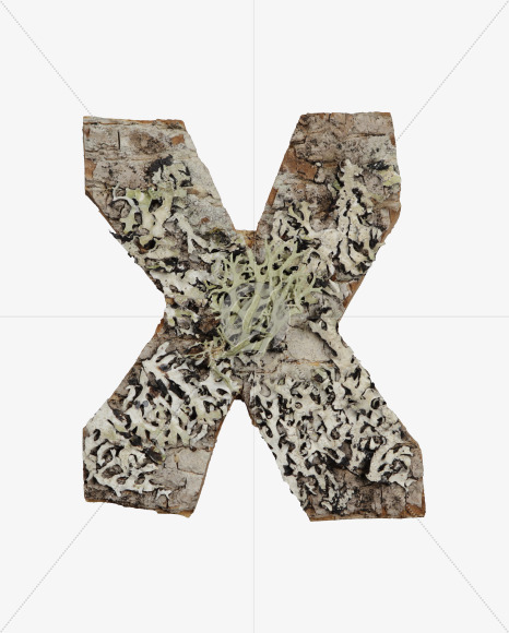 X