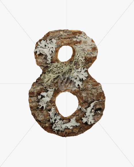 8