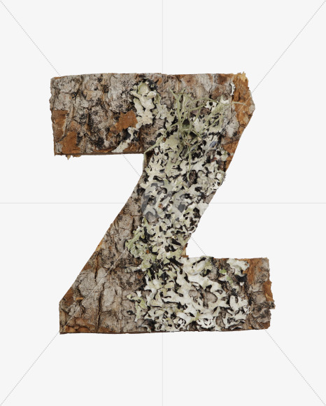 Z