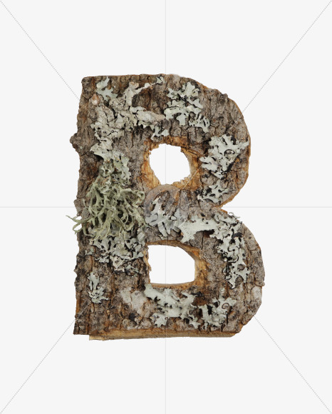 B