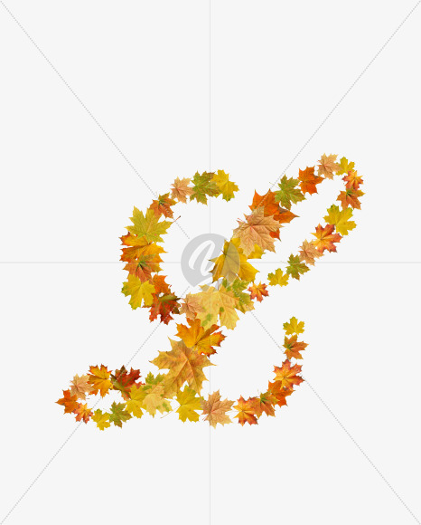 L