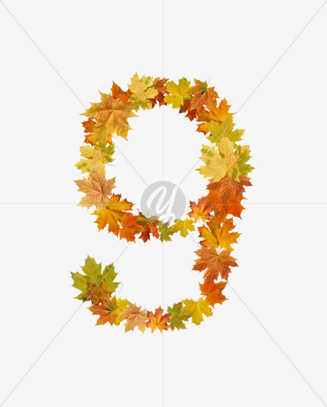 9