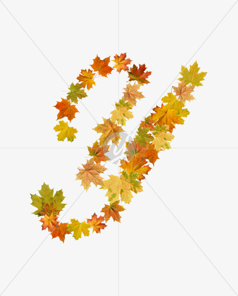 Y