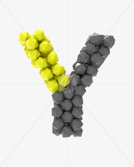 Y