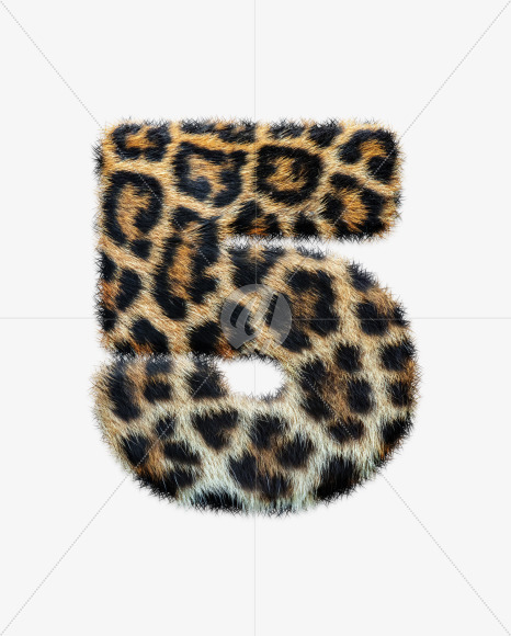5