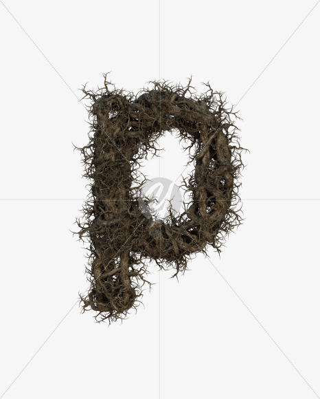 p lowercase