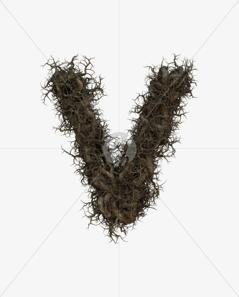 v lowercase