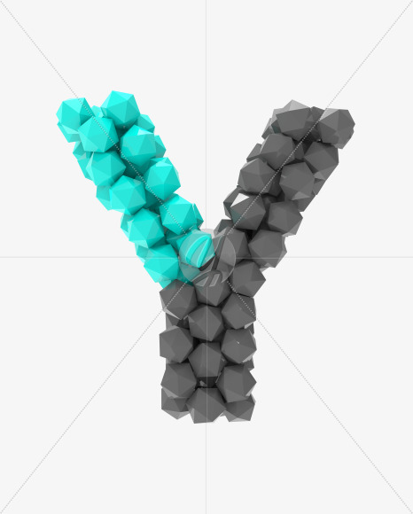 Y