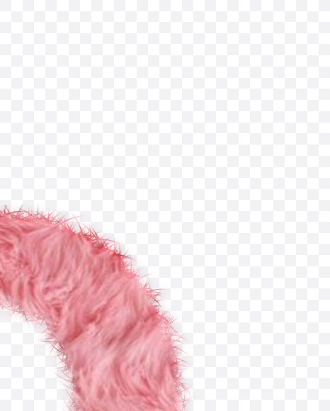 O-Character