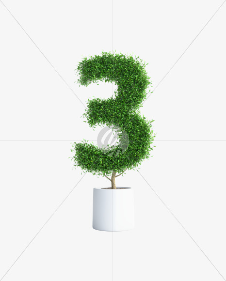 Tree 3