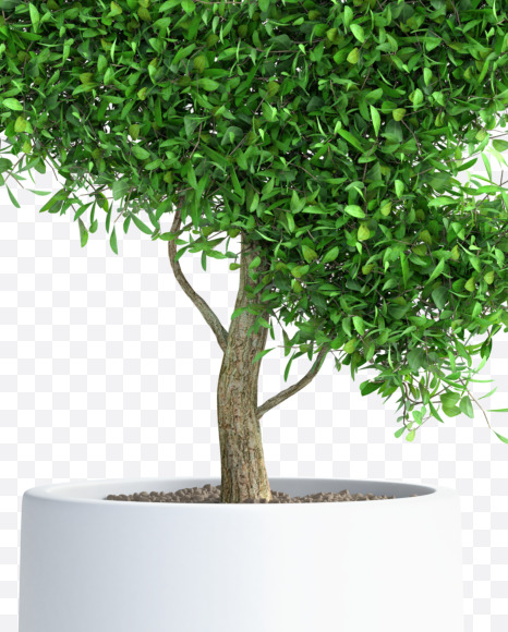 Tree Q from Green tree alphabet Letter on Yellow Images Creative Fonts