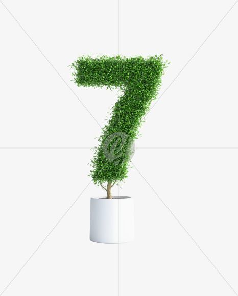 Tree 7