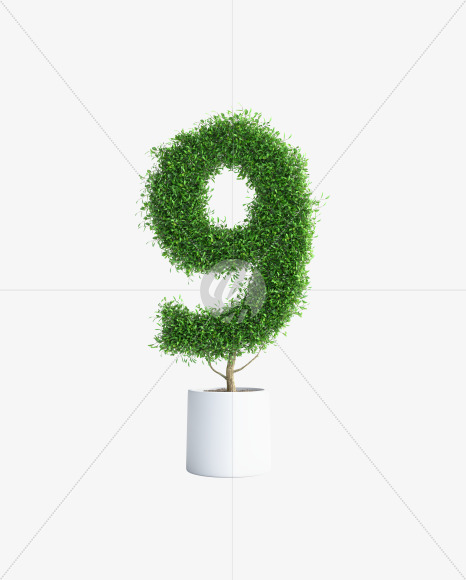 Tree 9