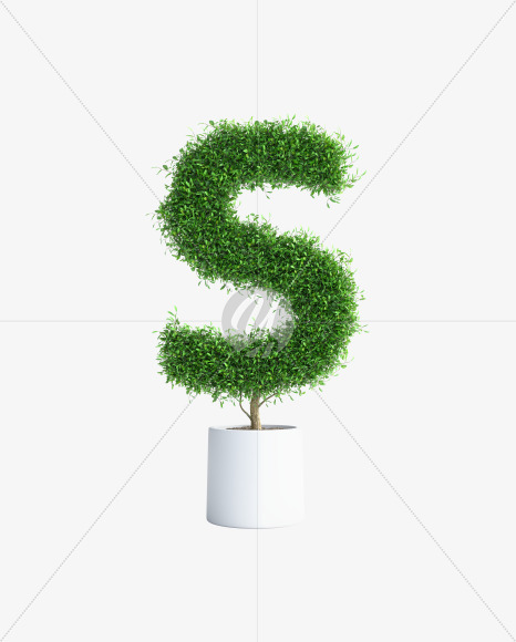Tree S