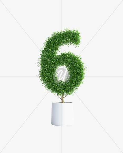 Tree 6