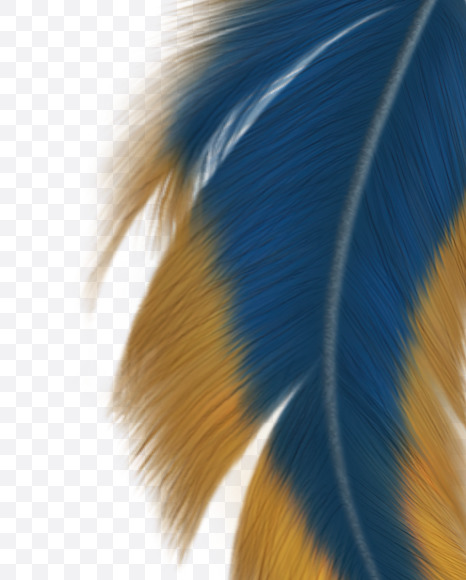 o 2