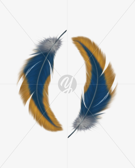 o 2