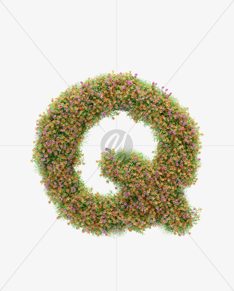 Q