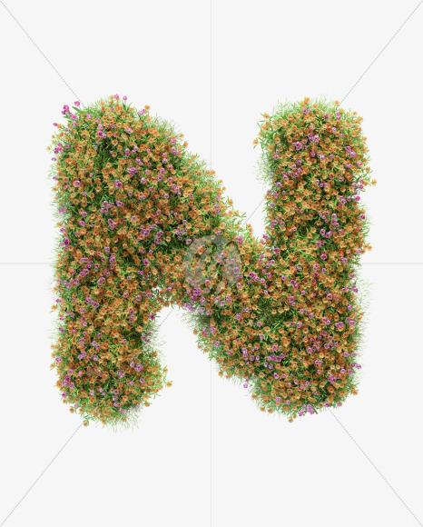 N