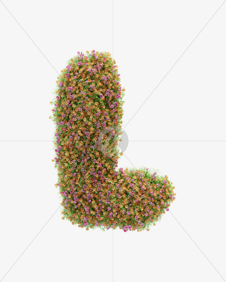 L