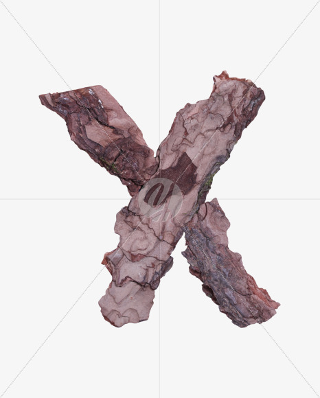 x