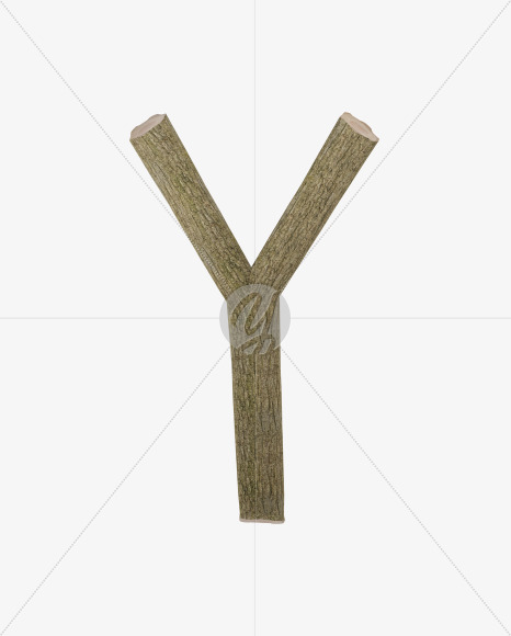 Y