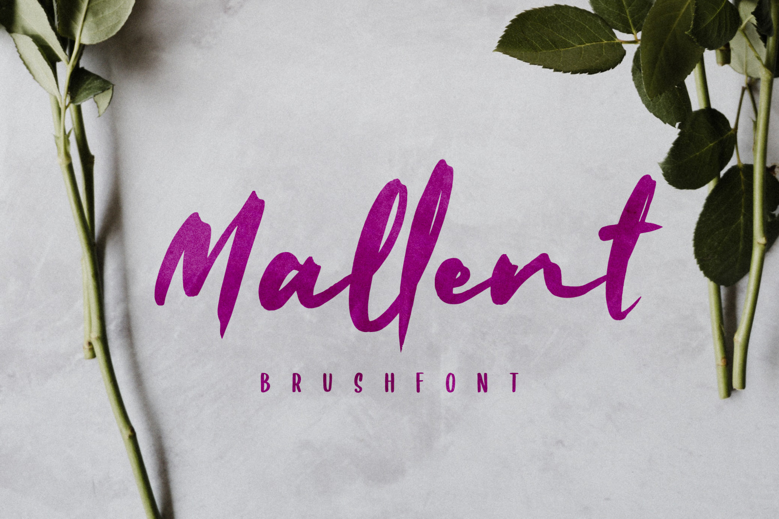 Mallent Font In Fonts On Yellow Images Creative Store