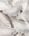 Plastic Bag With Frozen Pierogies Mockup