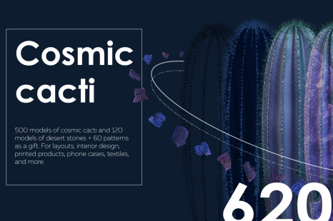 Cosmic cacti #01, 500 cactus and 120 rock mockups + 60 patterns