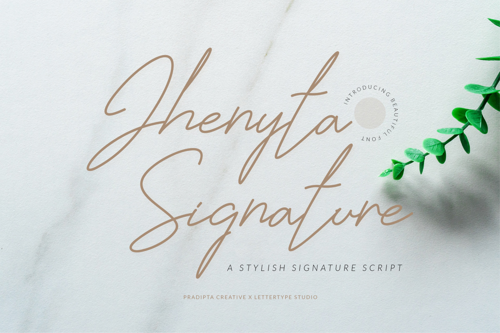 Jhenyta Signature Script In Fonts On Yellow Images Creative Store