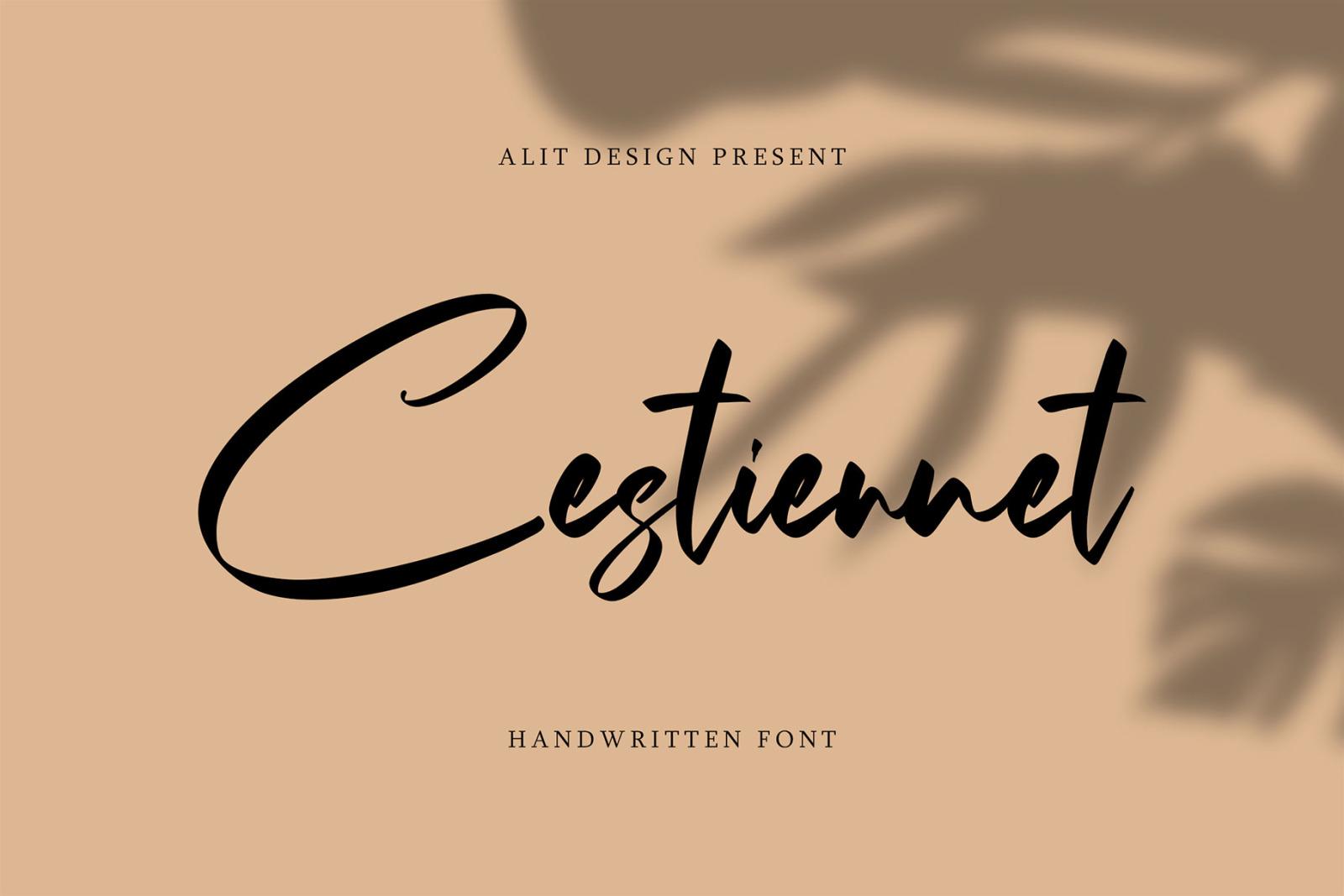 The Cestiennet In Fonts On Yellow Images Creative Store