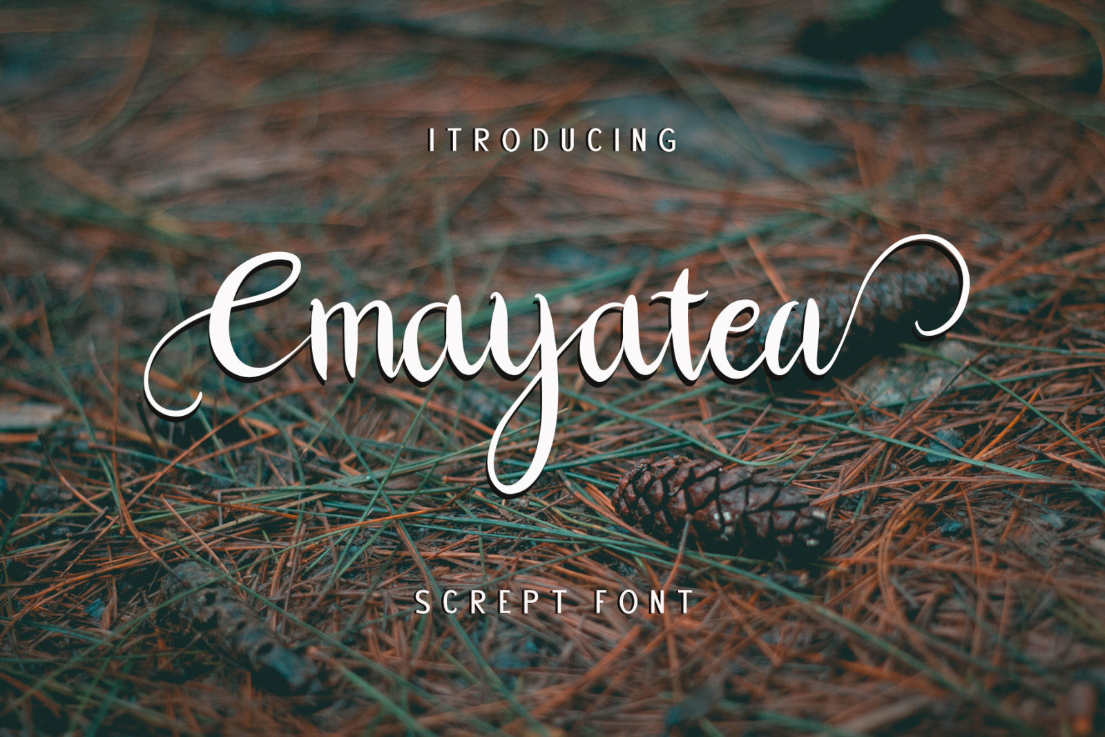 Cmayatea Typeface In Fonts On Yellow Images Creative Store