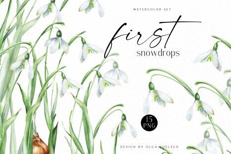 Watercolor spring flowers clipart, white snowdrop flowers for easter, spring wedding, greeting cards