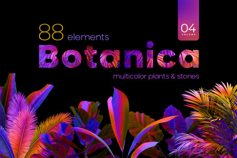 MULTICOLOR plants &amp; stones collection #04