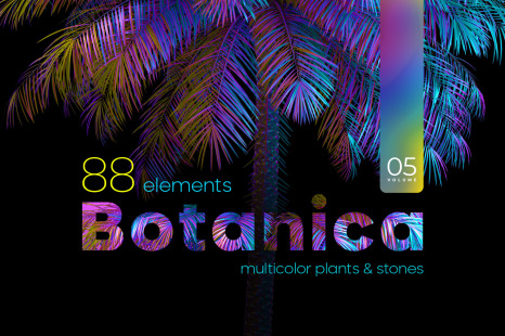 MULTICOLOR plants &amp; stones collection #05