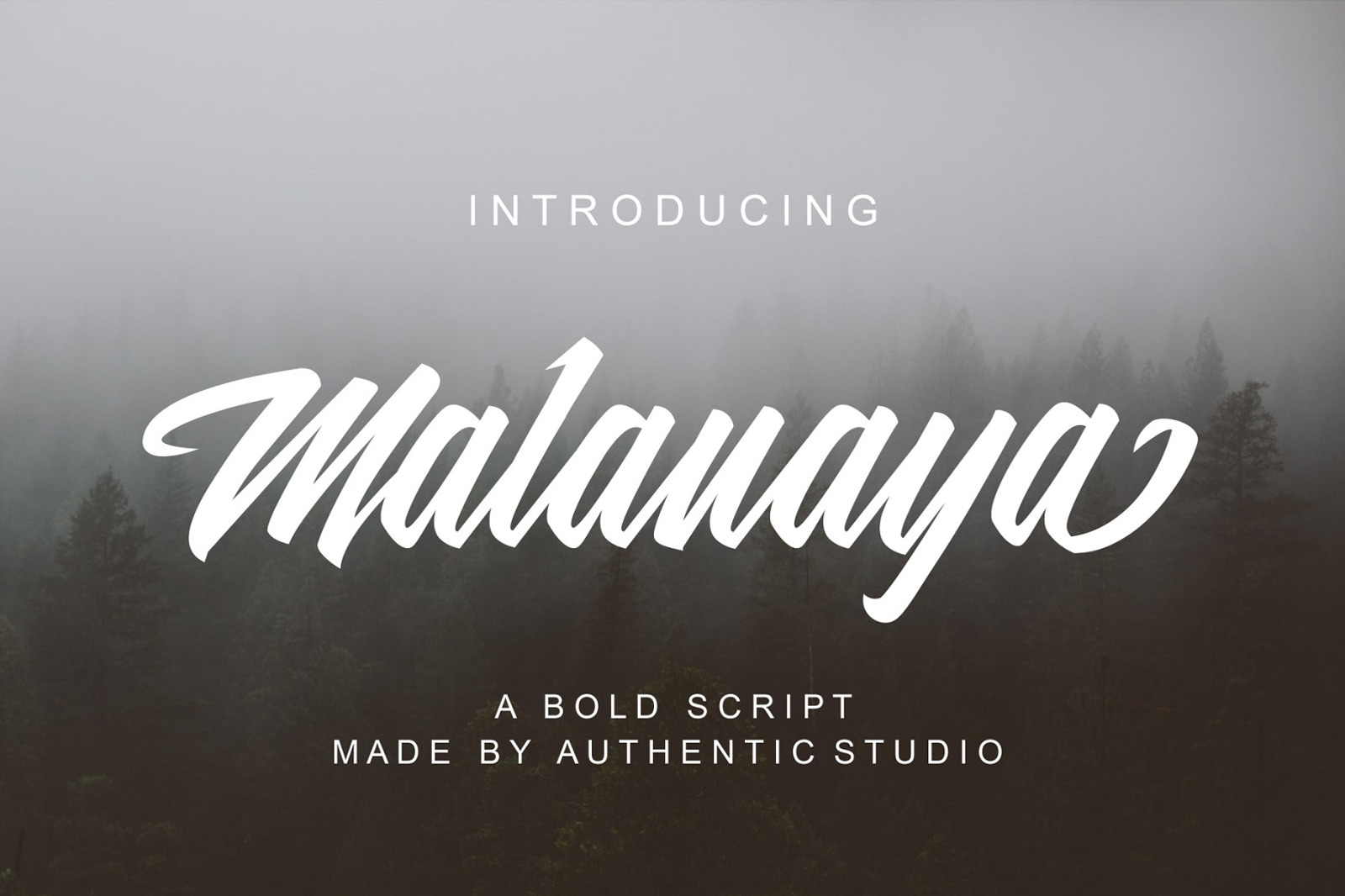 Malanaya Script In Fonts On Yellow Images Creative Store