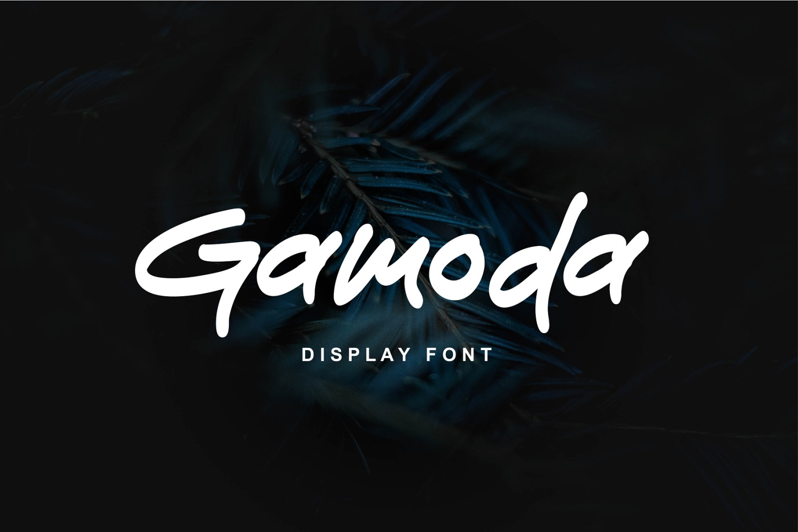 Gamoda Font In Fonts On Yellow Images Creative Store