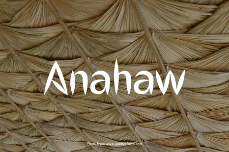 Anahaw Typeface