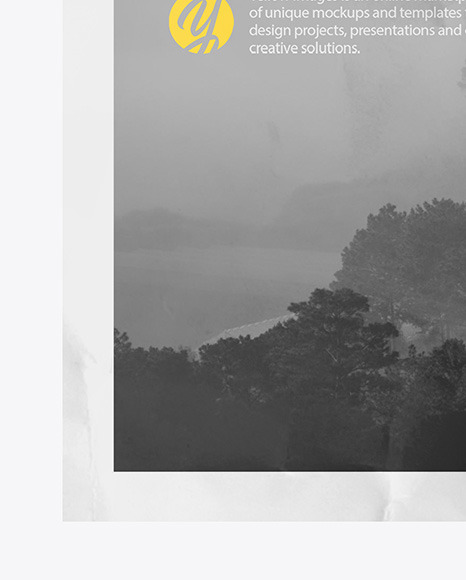 Crumpled Poster A4 w  Pins Mockup PSD #6