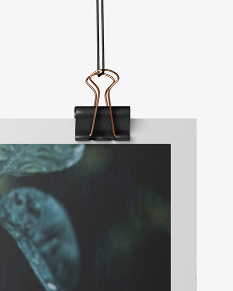 A4 Matte Poster Mockup PSD #1