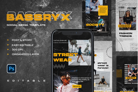 Bassryx - Instagram Stories &amp; Post Template