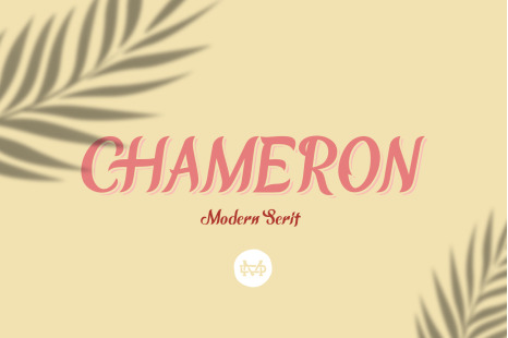 Chameron Modern Serif