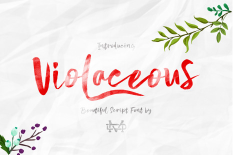 Violaceous - Brush Script