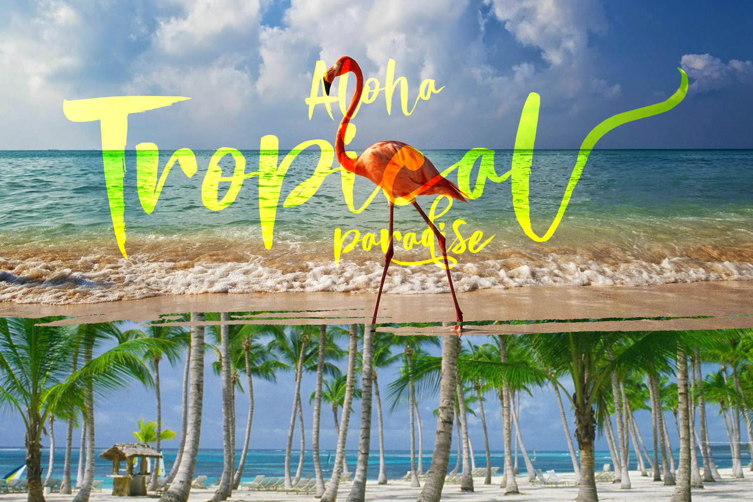 Violaceous Brush Script on Yellow Images Creative Store