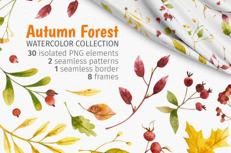 Watercolor woodland fall. Clipart, patterns, posters